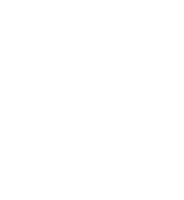 Data integrity & security